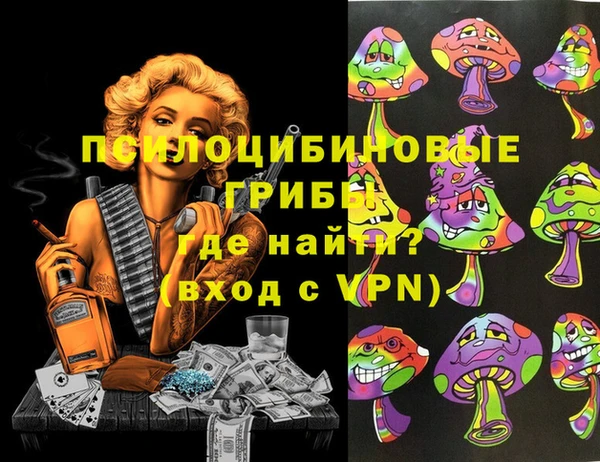 spice Алексин