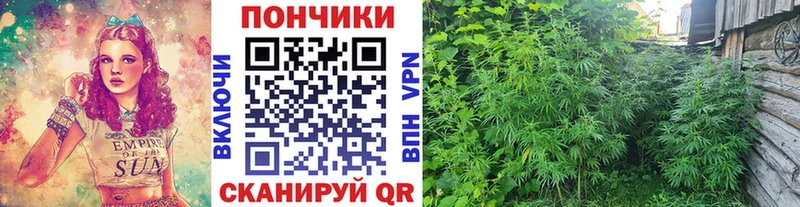 купить закладку  Струнино  mega зеркало  Конопля конопля 